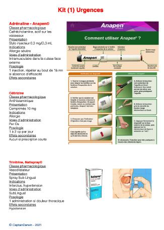 Aperçu de la fiche Kit Urgences : Adrénaline, Cétirizine, Trinitrine